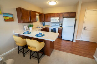 1 BR IL Apt- Kitchen